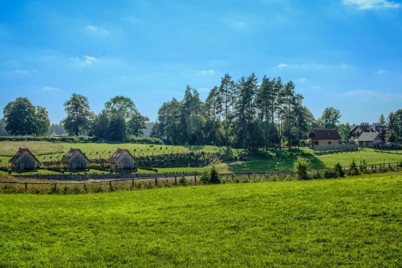 Oaza Mazurska - Willa Lasek Piecki (Warmian-Masurian) Exterior foto